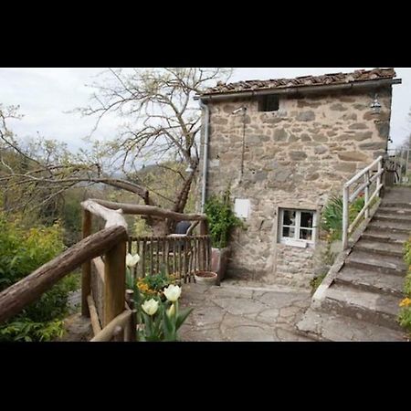 Il Rosmarino Apartment Pelago Exterior photo